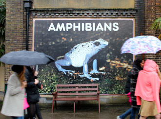 2. The world-renowned ZSL London Zoo Reptile House, zookeeper and animal safety is priority. 2. The world-renowned ZSL London Zoo Reptile House, zookeeper and animal safety is priority.