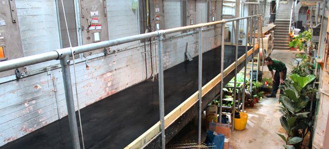 Anti-slip floor sheets and stair nosing installed at London Zoo reptile house. Anti-slip floor sheets and stair nosing installed at London Zoo reptile house.